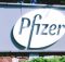 pfizer brings development dmd candidate domagrozuma halt