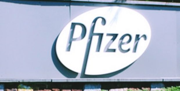 pfizer brings development dmd candidate domagrozuma halt