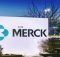 Merck to license NGM313 for treating Type 2 Diabetes and NASH