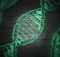 Roche to accelerate position in gene therapy with Spark acquisition